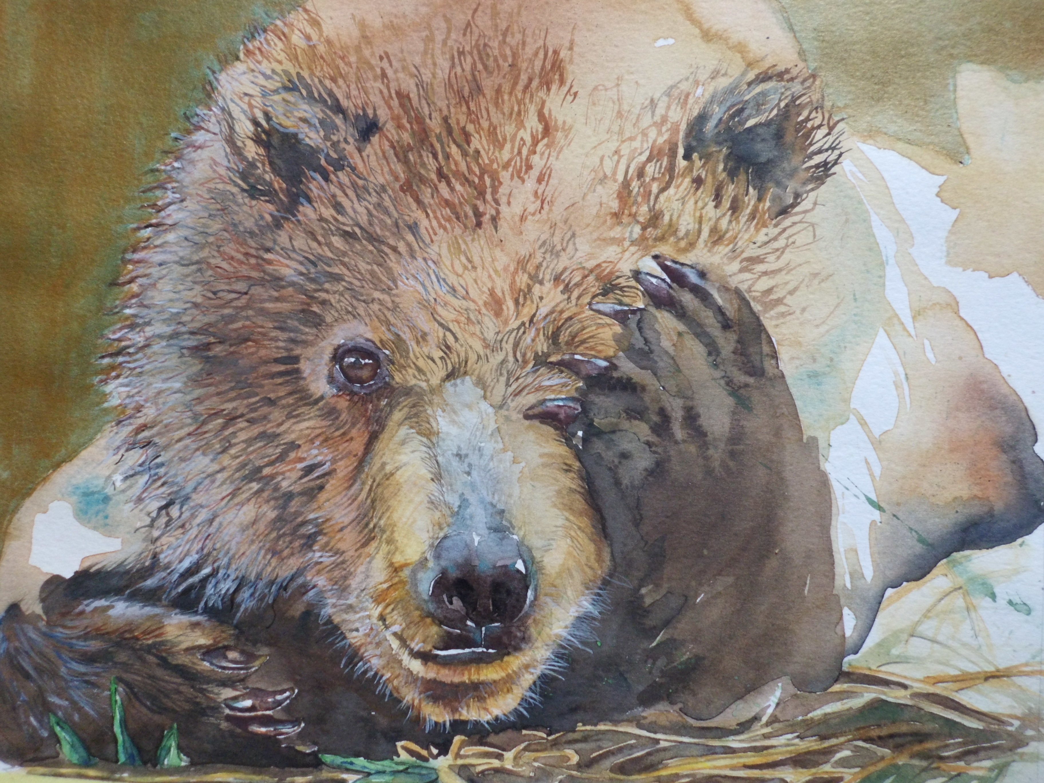 Aquarelle Laurence Cordier