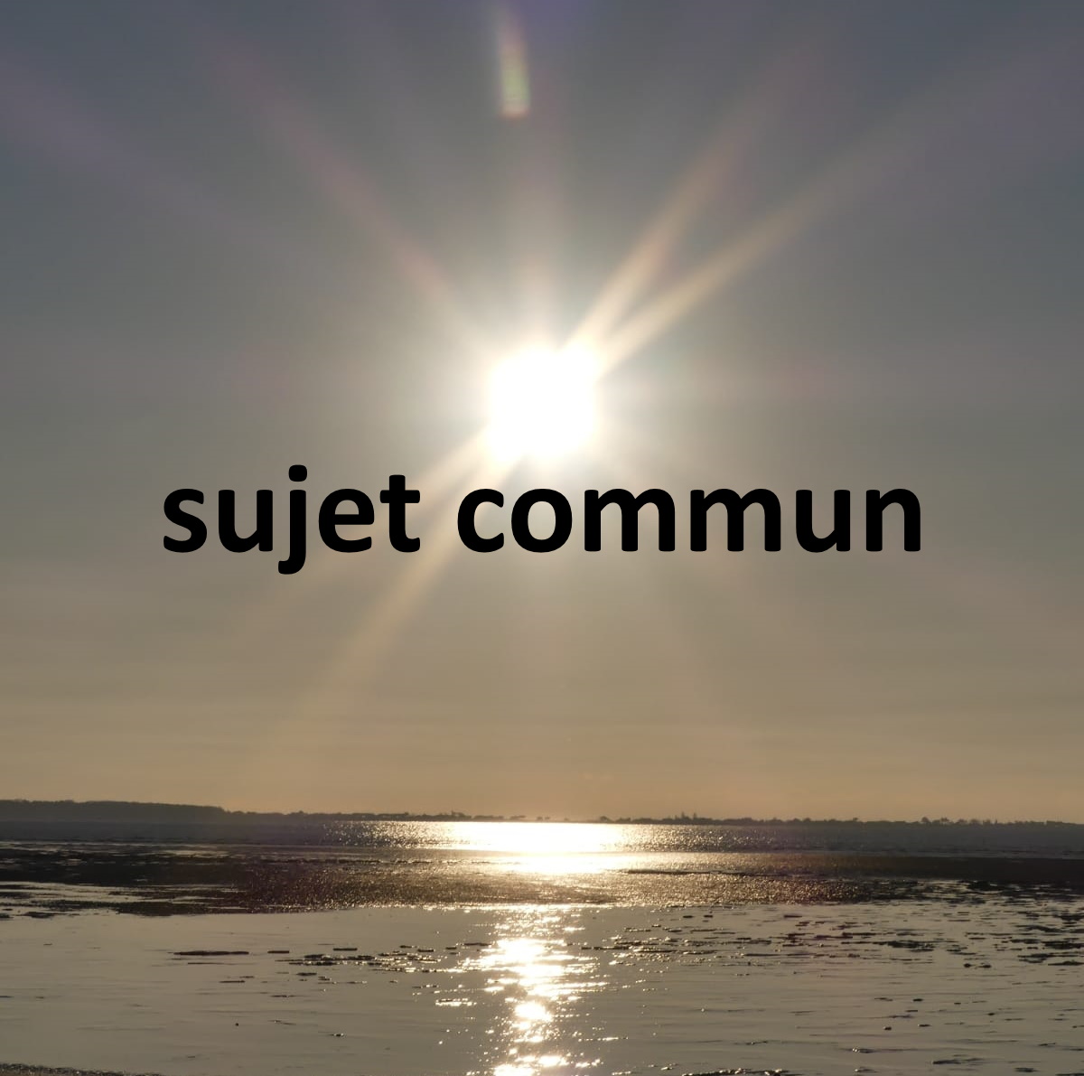 bouton sujet commun 2